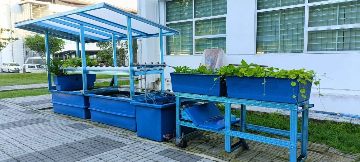 Raised vegetable planters used in a community growing initiative